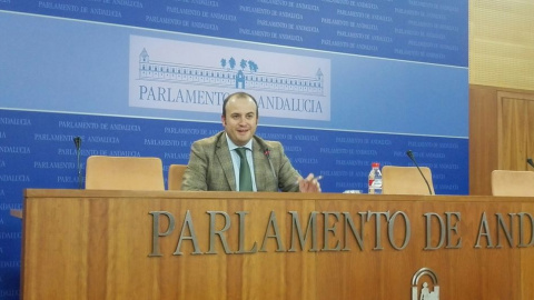 El presidente de la comisión de investigación del Parlamento de Andalucía sobre las irregularidades en los cursos de formación, Julio Díaz, de Ciudadanos. E.P.