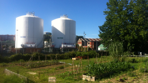 “La Huertaka”, un huerto urbano de 500 metros cuadrados situado en Barakaldo (Bizkaia).