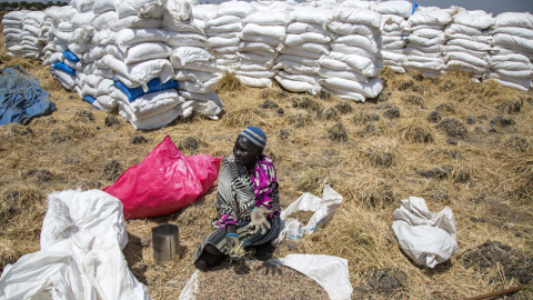 Una mujer recoge granos dejados en el suelo después de una distribución de alimentos en Sudán del Sur. AFP/Albert González Farran