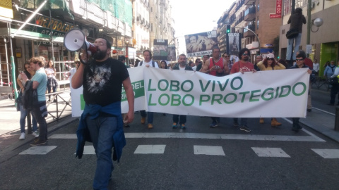 Manifestantes en favor del lobo ibérico