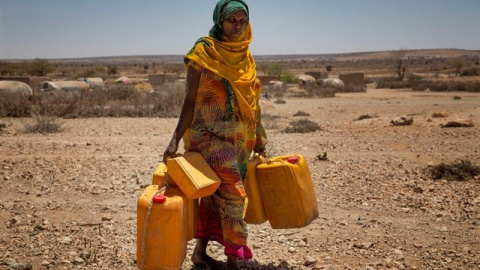 Agua, un derecho del que aún se ven privados 663 millones de personas