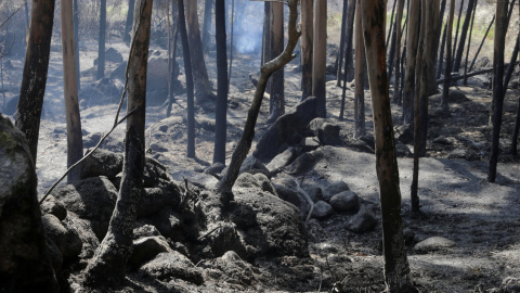 Imagen de un bosque calcinado por el incendio de Porto do son, en Pontevedra, que ha sido extinguido después de calcinar 1.600 hectáreas/REUTERS