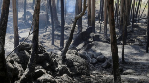 Imagen de un bosque calcinado en Pontevedra./REUTERS