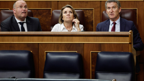 El líder del PP, Alberto Núñez Feijóo (d) la secretaria general, Cuca Gamarra, y el portavoz, Miguel Tellado, durante el Pleno del Congreso de los Diputados celebrado este pasado miércoles. EFE/Sergio Pérez