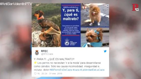 Para los cazadores, cazar con perros no es maltrato; vestirlos, sí