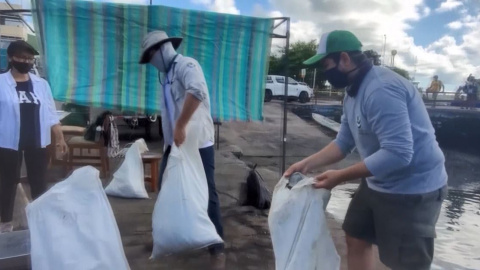 Extraen más de 2.200 kg de basuras del fondo del mar