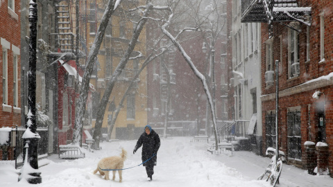 Una mujer pasea a su perro por Manhattan. REUTERS/Andrew Kelly