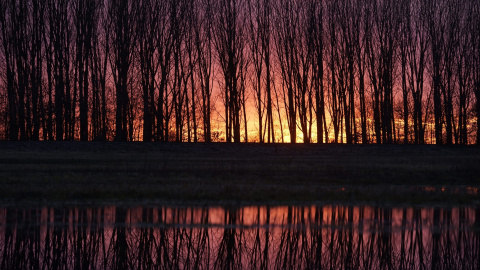 Vista de la puesta de sol en el lago de la localidad de Hosszupalyi, al este de Budapest, Hungría. EFE/Zoltan Balogh