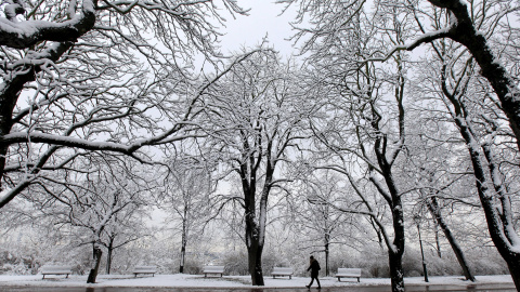 Un hombre camina a través de un parque totalmente cubierto de nieve en Praga, República Checa. REUTERS/David W Cerny