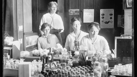 Mujeres científicas, la señorita Nellie A. Brown, la señorita Lucía McCulloch y la señorita Mary K. Bryan en el trabajo en un laboratorio.- REUTERS