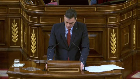 Sánchez pide unanimidad en el Congreso para prorrogar el estado de alarma