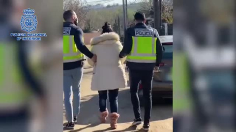  Detenida una mujer por inducir a cuatro menores a robar varios perros de raza