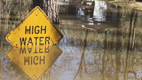 Una señal sumergida cerca del lago Bistineau en Louisiana, Estados Unidos. REUTERS/Therese Apel