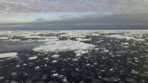 Casi todos los glaciares del mundo están perdiendo masa, según un estudio publicado en la revista científica Nature