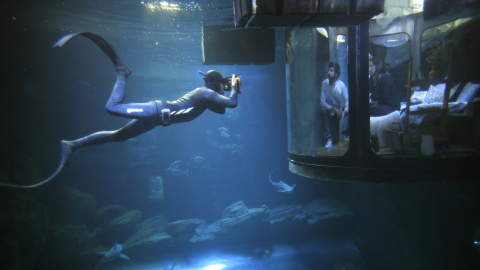 Un buzo toma fotos mientras la gente mira a los tiburones desde una sala bajo el agua instalada en el acuario de París, Francia. REUTERS/Charles Platiau