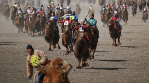 Jugadores del camel polo durante el Camel Festival, en Dalanzadgad, Mongolia. REUTERS/B. Rentsendorj