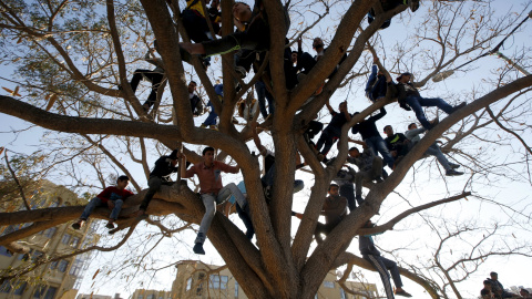 Palestinos suben a un árbol, mientras ven una feria cultural en la ciudad de Gaza. REUTERS/Mohammed Salem