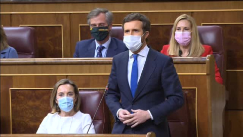 Casado a Sánchez: "Deje de meter la cabeza en el suelo como una avestruz porque su empecinamiento cuesta vidas"