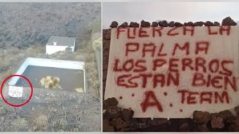 "Me encanta que los canes salgan bien": cachondeo con el supuesto rescate de los perros de La Palma por un misterioso "Equipo A"