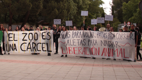 Protesta animalista