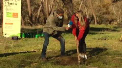 Reforestación solidaria en la Casa de Campo tras el temporal Filomena