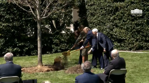 Donald y Melania Trump plantan un árbol en el Día de la Tierra