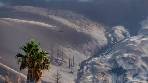 24/11/2021.- Los alrededores del cono del volcán de Cumbre Vieja, sufren los efectos de los gases, cenizas y altas temperaturas