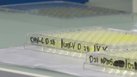 La universidad de Oxford prueba una vacuna en humanos tras el éxito en monos 