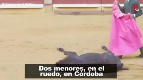 ¿Deberían participar menores de edad en corridas de toros? Animal Guardians lo denuncia