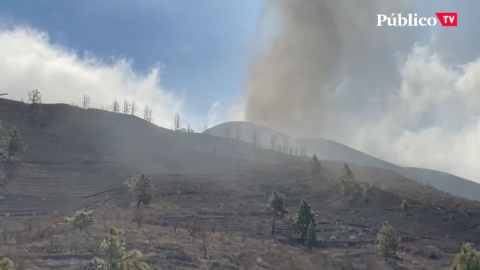 Evacuaciones en La Palma: así se ayuda a quienes tienen que abandonar sus casas