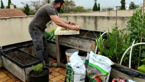 Tu huerto en casa: cómo tener tus propias hortalizas en este confinamiento