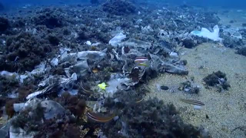 Un sencillo gesto para salvar el mar