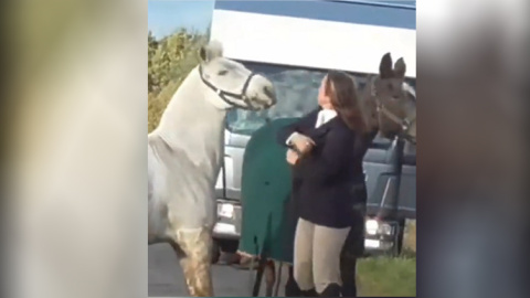 21/12/21. Captura del momento en el que la profesora abofetea al caballo en Reino Unido, a 9 de noviembre de 2021.