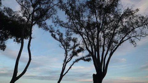 Un joven realiza prácticas del deporte Slackline