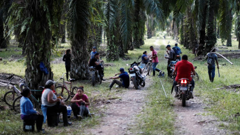 Cómo una sangrienta disputa por tierra en Honduras aviva el éxodo de migrantes a EEUU