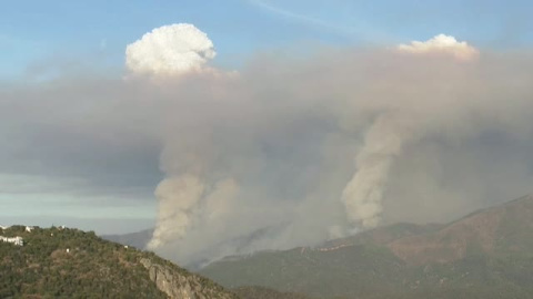 Se confirma que el fuego del incendio de Estepona fue provocado