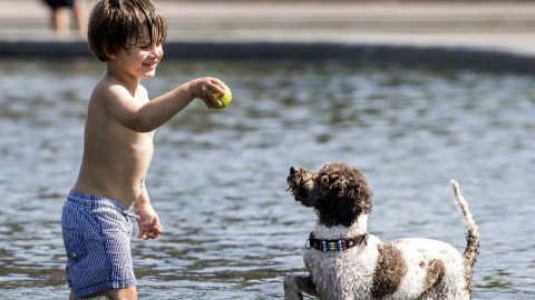 Un niño tienta a un perro con una pelota de tenis mientras juega en un estanque en Museumplein en Ámsterdam el 21 de mayo de 2020,