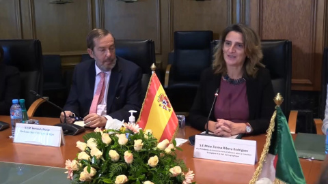 Teresa Ribera visita Argel para garantizar el suministro de gas a España