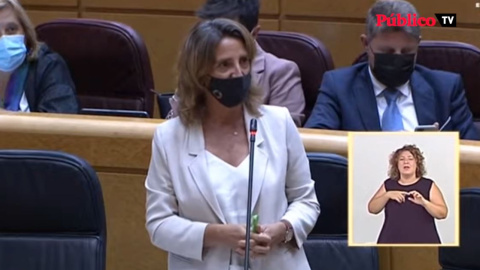 Teresa Ribera reprocha al PP su "cinismo" con el problema del Mar Menor