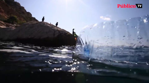 Día Mundial de los Océanos: ni guantes ni mascarillas al mar