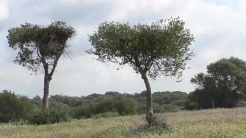 La Junta trabaja en la sostenibilidad medioambiental de Andalucía