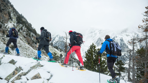  Passejada amb raquetes de neu pel Parc Nacional de les Capçaleres del Ter i el Freser (Setcases).