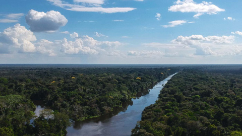 Vista desde un dron del río Jaraua, en la Reserva de Desarrollo Sostenible Mamiraua en el estado de Amazonas, Brasil, el 28 de junio de 2018.- MAURO PIMENTEL / AFP