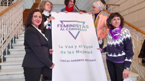 Feministas al Congreso