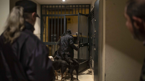 Marian, que lleva siete años en una de las casas ocupadas por la PAH en Vallecas, saca a pasar a sus perros.