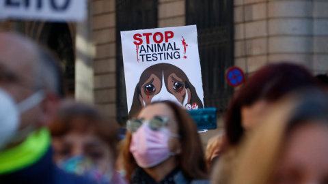 Centenars de persones han participat en la concentració per reclamen la suspensió de l'experiment amb cadells de gos de la UB amb Vivotecnia.