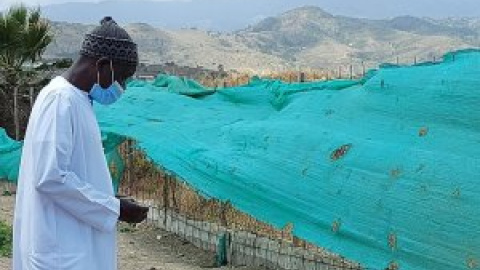 Un montoncito de tierra canaria para despedir a la pequeña Eléne Habiba