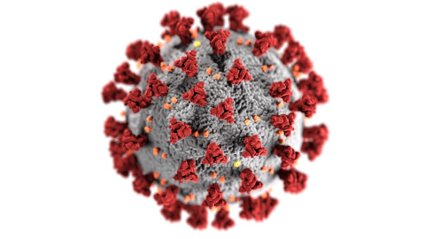 26/01/2022 coronavirus