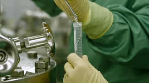 Según la OMS,  hay más de 130 proyectos para tratar el coronavirus en fase preclínica