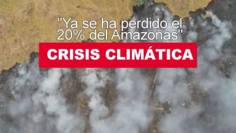 Crisis climática: "Ya se ha perdido el 20% del Amazonas"